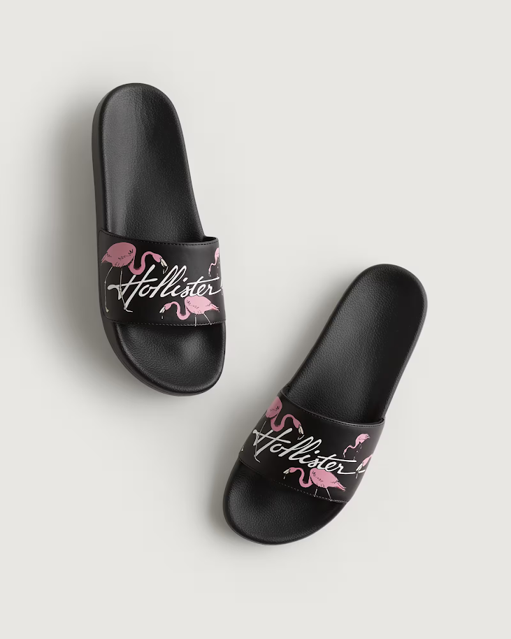 HOLLISTER FLAMINGO GRAPHIC LOGO SLIDE