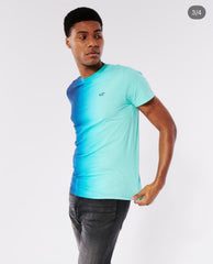 HOLLISTER | OMBER LOGO ICON CREW T-SHIRT