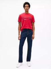 TOMMY HILFIGER | Signature Box Logo T-Shirt