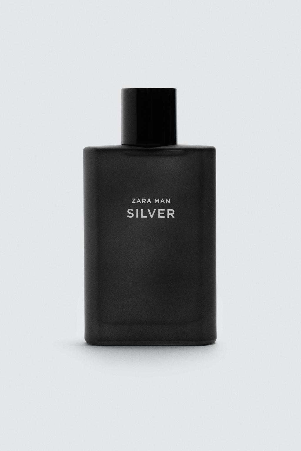ZARA | SILVER