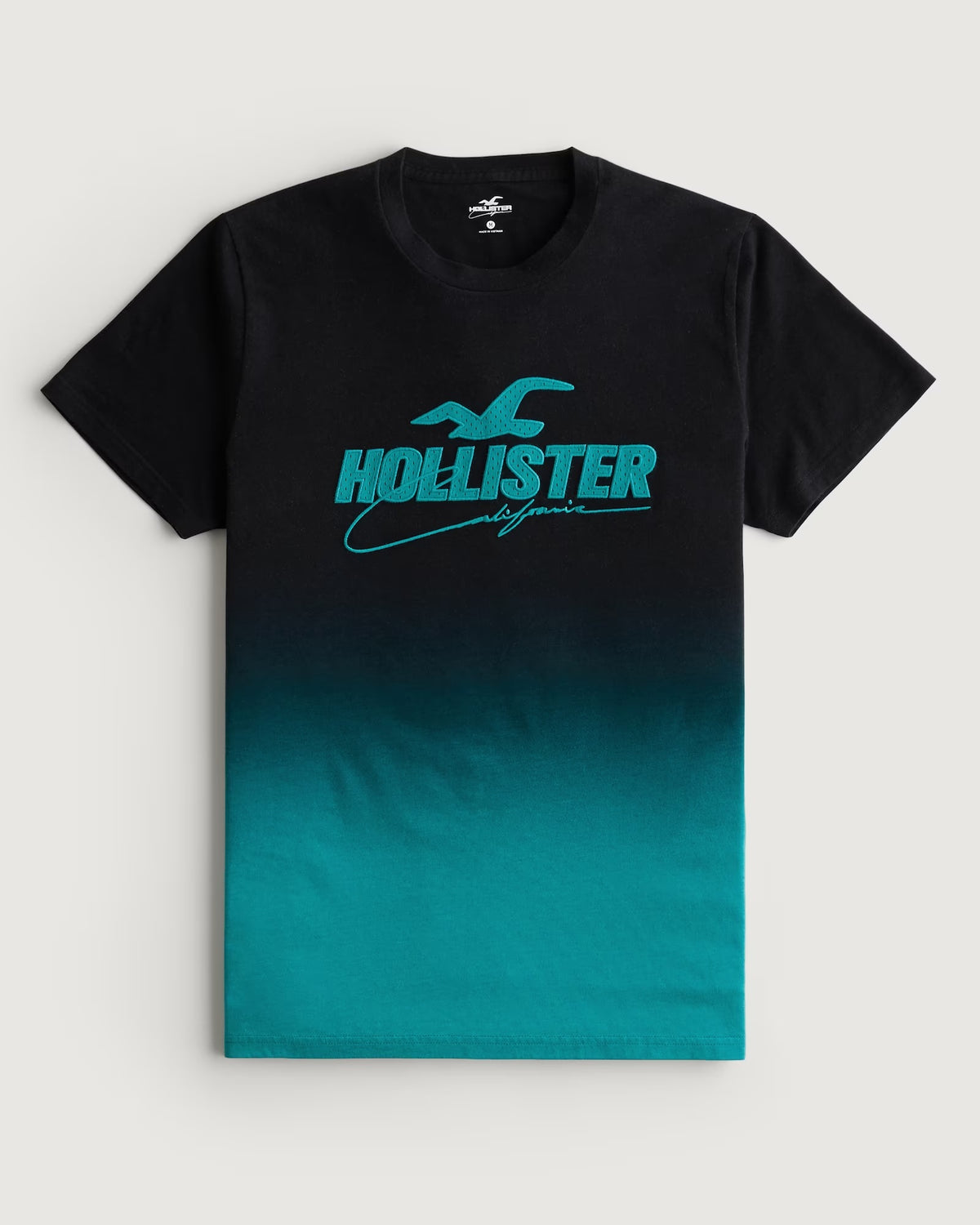HOLLISTER | MESH LOGO APPLIQUE OMBRE GRAPHIC TEE