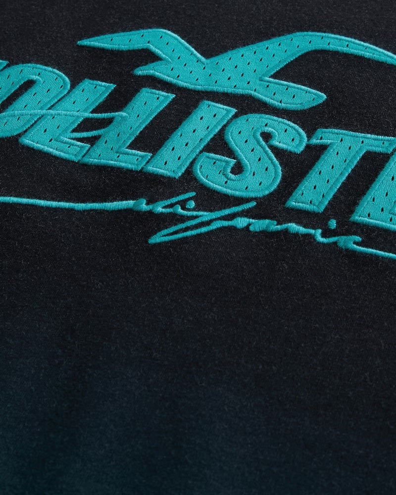 HOLLISTER | MESH LOGO APPLIQUE OMBRE GRAPHIC TEE