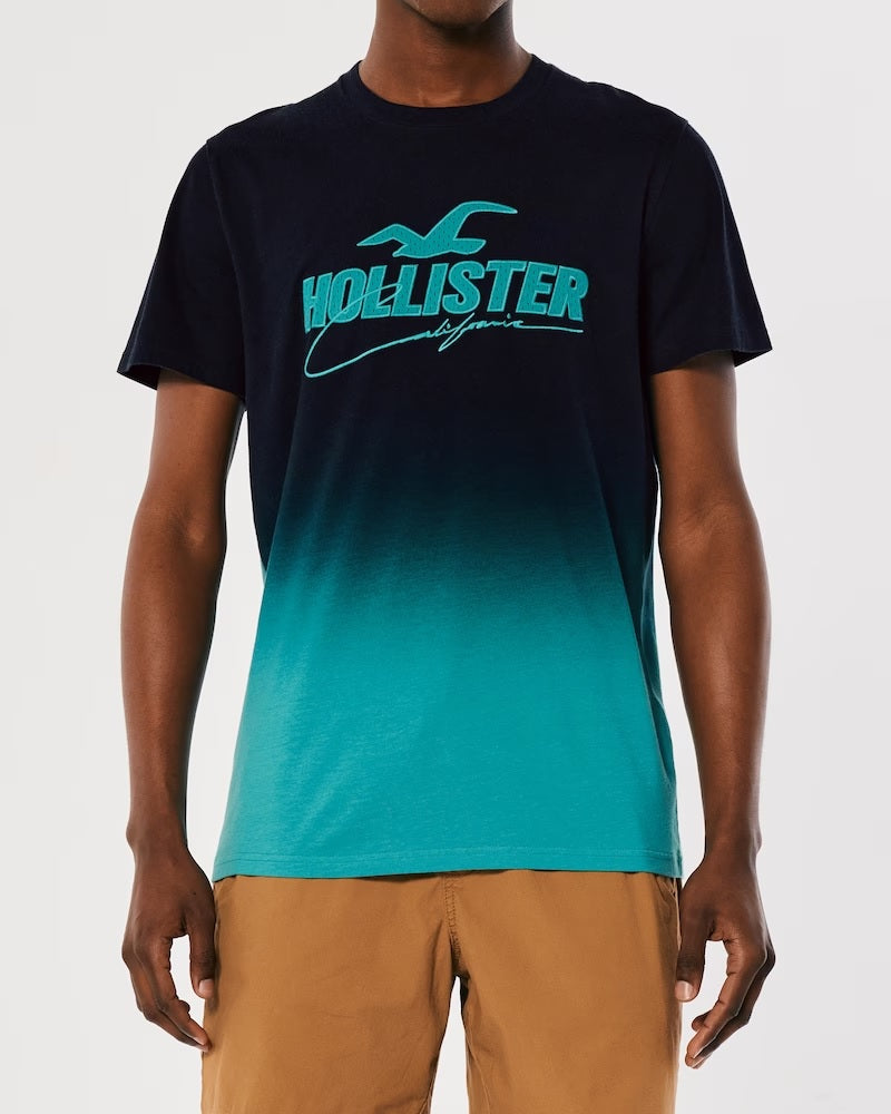 HOLLISTER | MESH LOGO APPLIQUE OMBRE GRAPHIC TEE