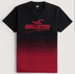HOLLISTER | MERSH LOGO APPLIQUE OMBER GRAPHIC TEE
