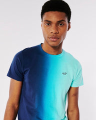 HOLLISTER | OMBER LOGO ICON CREW T-SHIRT