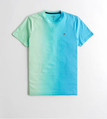 HOLLISTER | OMBER LOGO ICON CREW T-SHIRT