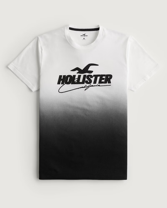 HOLLISTER | MESH LOGO APPLIQUE OMBRE GRAPHIC TEE