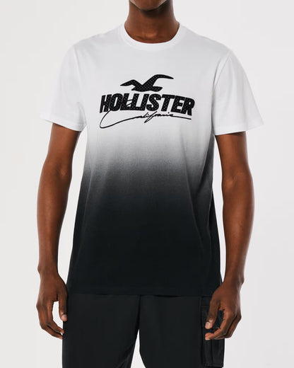 HOLLISTER | MESH LOGO APPLIQUE OMBRE GRAPHIC TEE