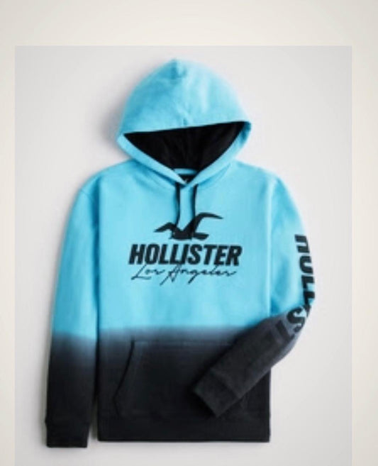 HOLLISTER | LOGO GRAPHIC HOODIE